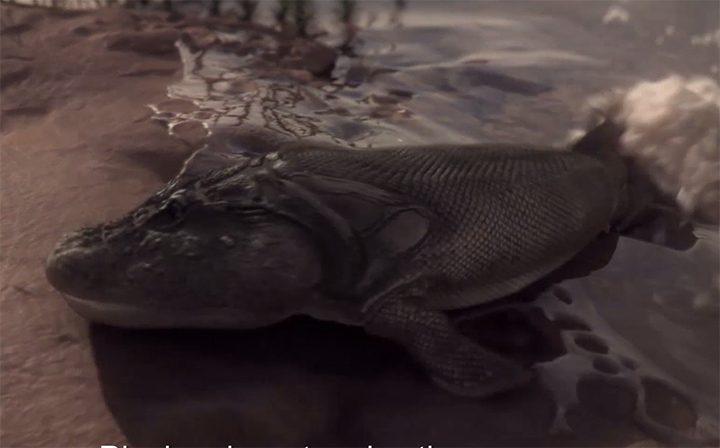 An image of a Tiktaalik